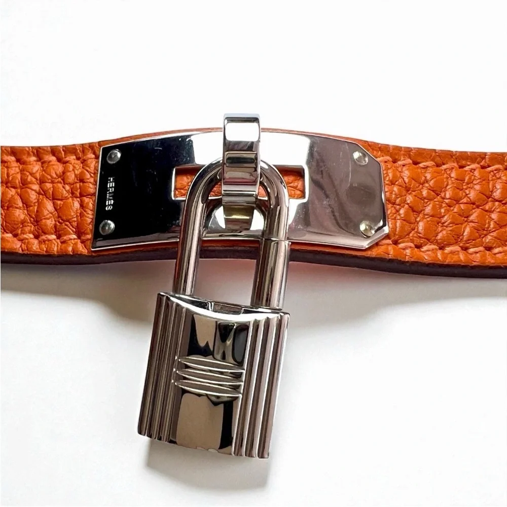Hermes Orange Pet Collar and Leash Set - Picture 6 of 16